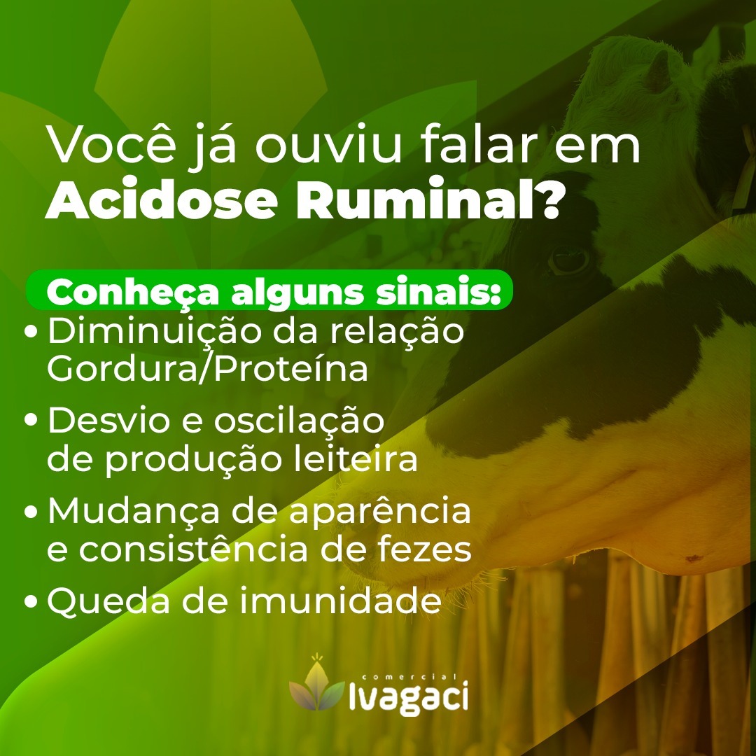 Você já ouviu falar em Acidose Ruminal?