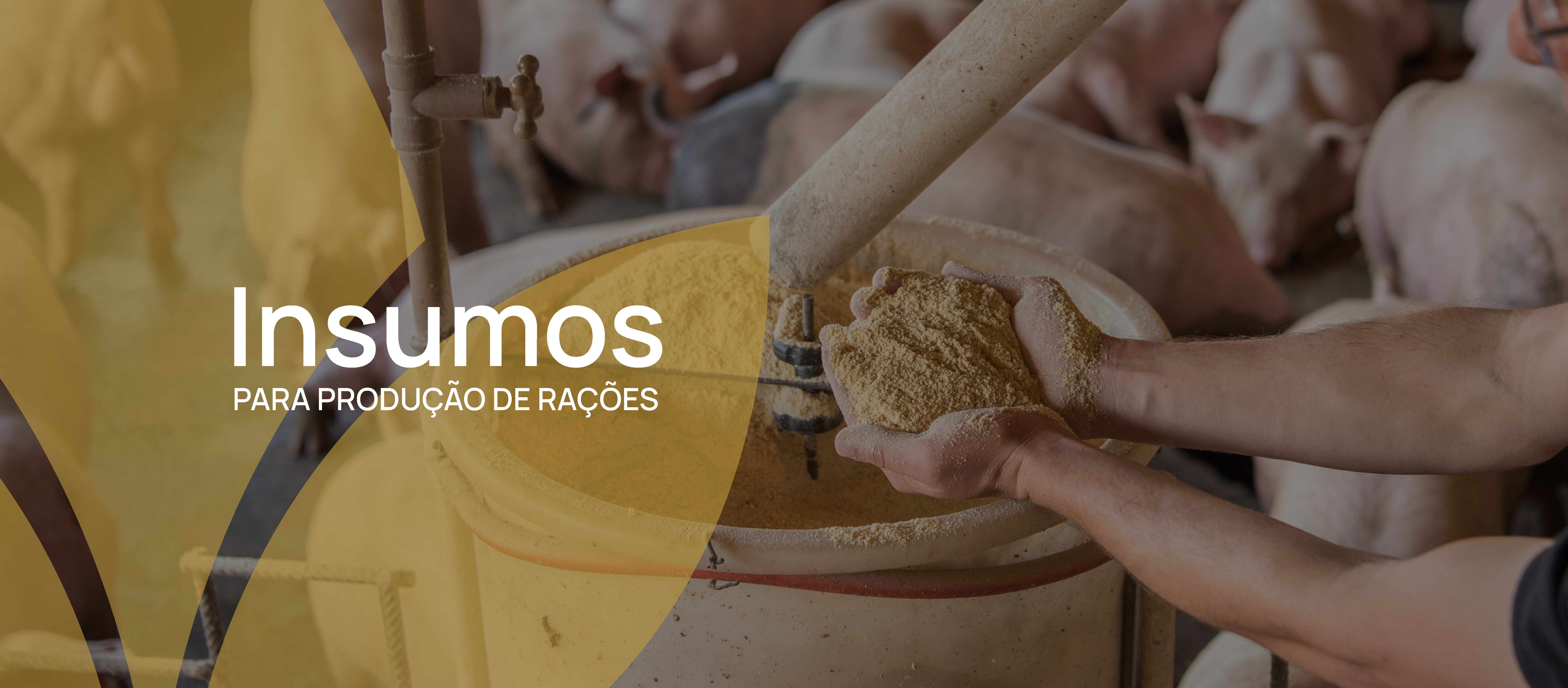 Insumos